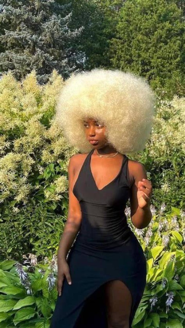Dia Nash - Net Worth, Age, Height, Birthday, Bio, Wiki!