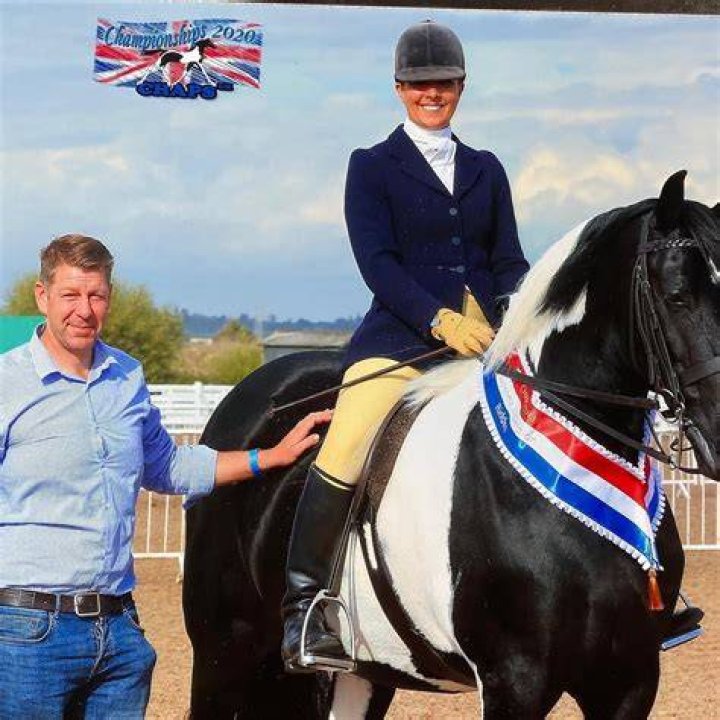 Equestrian Craig