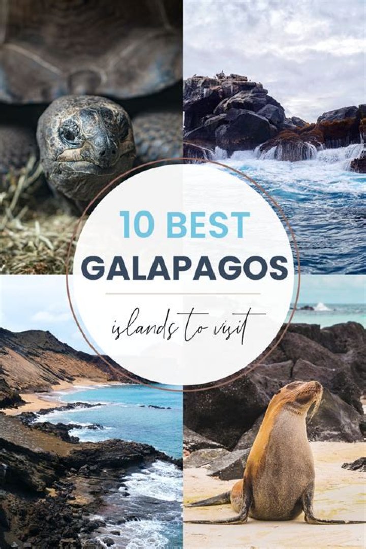 Top 10 Things To Do in the Galapagos